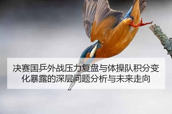 决赛国乒外战压力复盘与体操队积分变化暴露的深层问题分析与未来走向